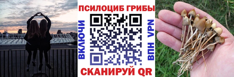 Галлюциногенные грибы GOLDEN TEACHER  Межгорье 
